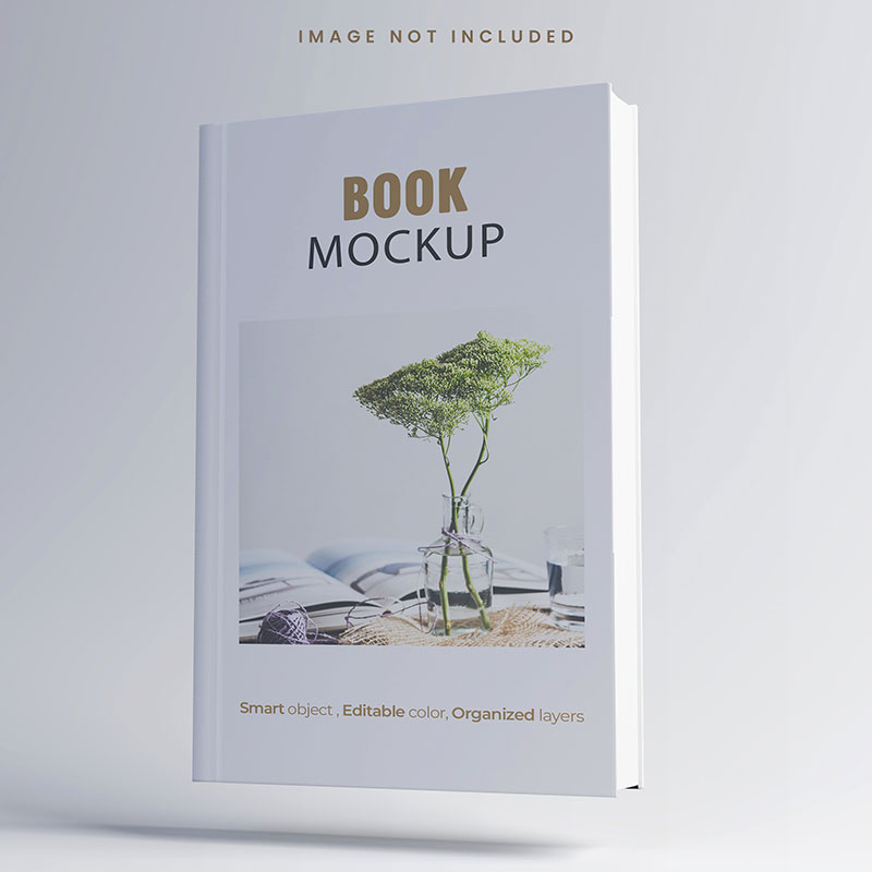 Dlear Book Cover - Image 4